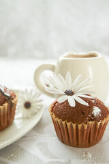 Wall Mural - homemade muffins served for breakfast or dessert, cupcakes on light white-grey background. 