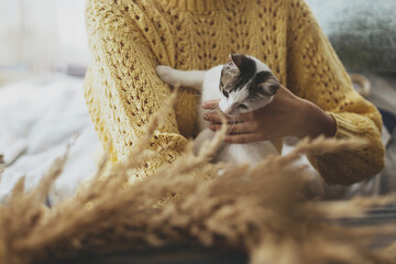 Woman in yellow sweater holding cute little kitten and making together stylish boho autumn wreath with dry grass and herbs on rustic wooden table. Adorable cat companion and helper