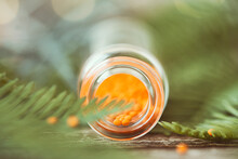 Glass Jar Filled With Orange Sprinkles Next To A Fir Tree Branch
