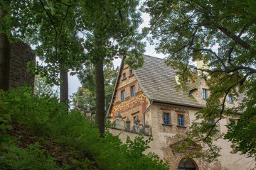 Wall Mural - Zamek Grodno, Dolnośląskie