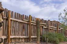 Tall Cylindrical Cactus And Other Green Plants Near A Wooden Fence In A Botanical Garden. Desert Plants Against The Blue Sky. Nature