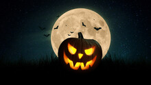 Scary Pumpkin And Bats In A Field With A Full Orange Moon At Night . Happy Halloween Dark Wallpaper