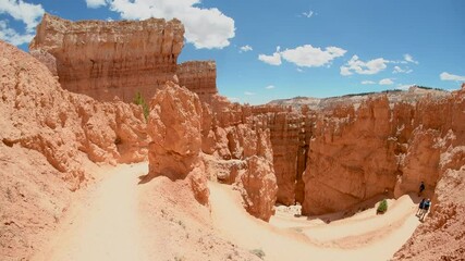 Poster - Panoramic view of Bryce Canyon Mountains and Trees