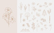 Set of hand drawn botanical flower and plant Illustration in vector.