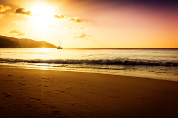 Wall Mural - Gold sunset on the sand beach