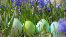 Easter Green Eggs In The Green Grass In Spring
