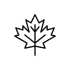 maple leaf thin line icon. modern vector illustration, symbol of autumn.