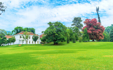 Poster - The sites of Peradeniya botanical garden, Kandy, Sri Lanka