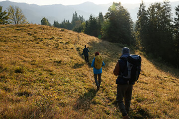 Wall Mural - Tourists with backpacks hiking in mountains on sunny day, back view. Space for text