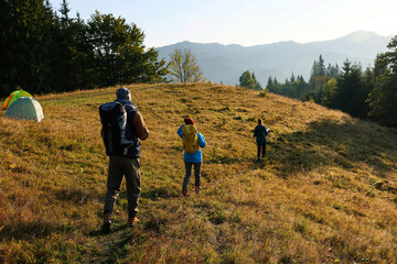 Wall Mural - Tourists with backpacks hiking in mountains on sunny day, back view