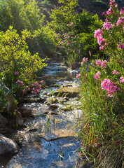 Wall Mural - Beautiful creek in Penteli mountain near Athens, Greece.