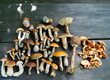 Zebrane leśne grzyby na drewnianym stole