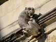Lion gargoyle of gothic Cathedral in Winchester, England, UK. Close up
