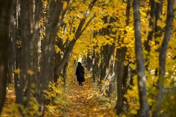 Girl in the autumn yellow forest. Maple yellow forest.