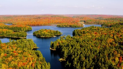 Wall Mural - Autumn landscape of fall colourful forest and lake