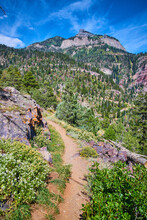 Simple Narrow Dirt Hiking Path Curving Through And Towards Large Rocky Mountains