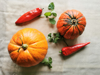 Two pumpkins, mint and red sweet pepper lie on a light fabric.