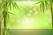 Green Bamboo Grove. Bamboo Spa Background, Wallpaper. Asian Oriental Beauty Spa Massage Ad Template, Vector Illustration