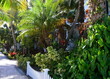 Strassenszene in Key West, Florida Keys