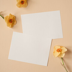 Wall Mural - Blank paper sheet card with mockup copy space and narcissus flowers on neutral dusty peachy background. Minimal aesthetic business brand template. Flat lay, top view