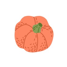 Round Pumpkin. Autumn Orange Vegetable. Fresh Fall Gourd For Halloween Holiday. October Food. Whole Pumkin With Peduncle In Doodle Style. Colored Flat Vector Illustration Isolated On White Background