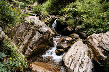 Mountain creek stream flowing through the autumn forest