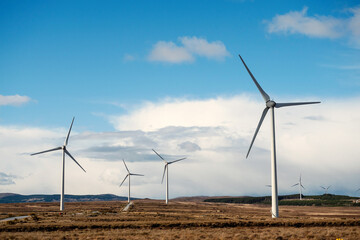 Wind farm in an open field. Green electric energy generation. Warm sunny day. Power supply industry.