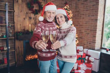 Poster - Photo of romantic retired couple hold wineglass clink make toast wear ornament sweater hat home indoors