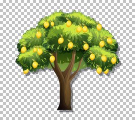 Wall Mural - Lemon tree on transparent background