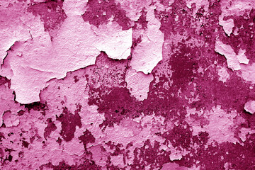 Wall Mural - Сement wall with peeling paint and plaster in pink tone.