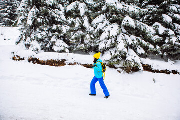 Wall Mural - young woman hiking in snowed winter forest