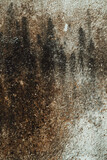 Fototapeta Kamienie - Tekstura zniszczonej brudnej ściany, ciemne plamy na popękanym murze.