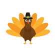 turkey animal icon