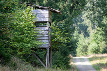 Old Wooden Structure Surrounded By Green Vegetation.