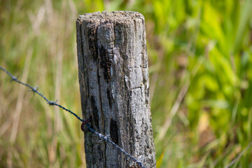 Sticker - Closeup shot of a wooden fence pole