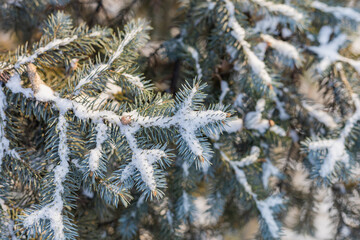 Wall Mural - Abstract symbolic winter background with snow with copy space for text, selective focus