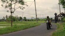 Asian Girl Riding Suzuki Thunder 250cc Cafe Racer Motorcycle Wearing White Hotpants And A Olive Green Shirt Driveby. Pan Shot On Astreet In Rural Area With Ricefields.