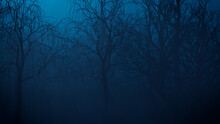 Eerie Halloween Woodland Scene At Night.