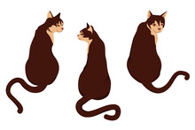 Vector Illustration With Three Brown Cats Sitting With Their Backs Isolated On A White Background