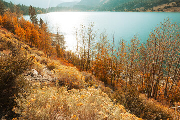 Canvas Print - Autumn lake