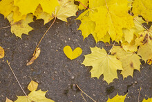 A Heart Made Of A Yellow Autumn Leaf On The Road On An Autumn Day