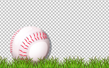 Sticker - Baseball and grass on transparent background