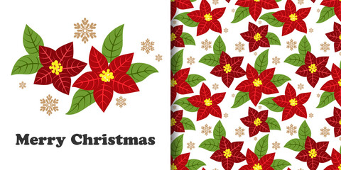 Wall Mural - Christmas holiday season banner of Merry Christmas text and seamless pattern of Christmas winter poinsettia flower branches decorative and snowflakes on white background. Vector illustration.