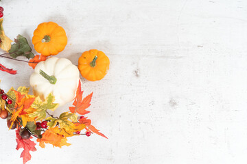 Wall Mural - pumpkin on table