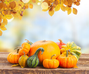 Wall Mural - pumpkin on table