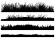 Isolated vector silhouettes of grass-covered ground. High detail reeds, dry grass, high grass and low grass.