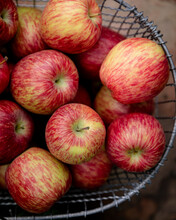 A Closeup Overhead View Of Apples In A Wire Basket