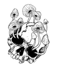 Overgrown Skull. Mushrooms. Death - Life
