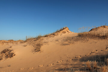 Wall Mural - Picturesque view of desert on sunny day