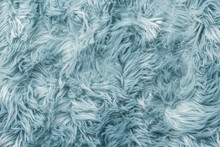 Fur Texture Top View. Blue Fur Background. Fur Pattern. Texture Of Turquoise Shaggy Fur. Wool Texture. Flaffy Sheepskin Fur Close Up